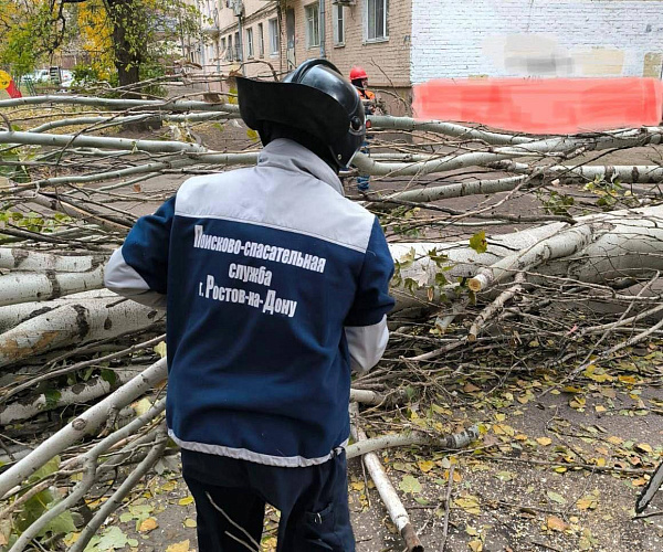 Фото: службы устраняют последствия непогоды