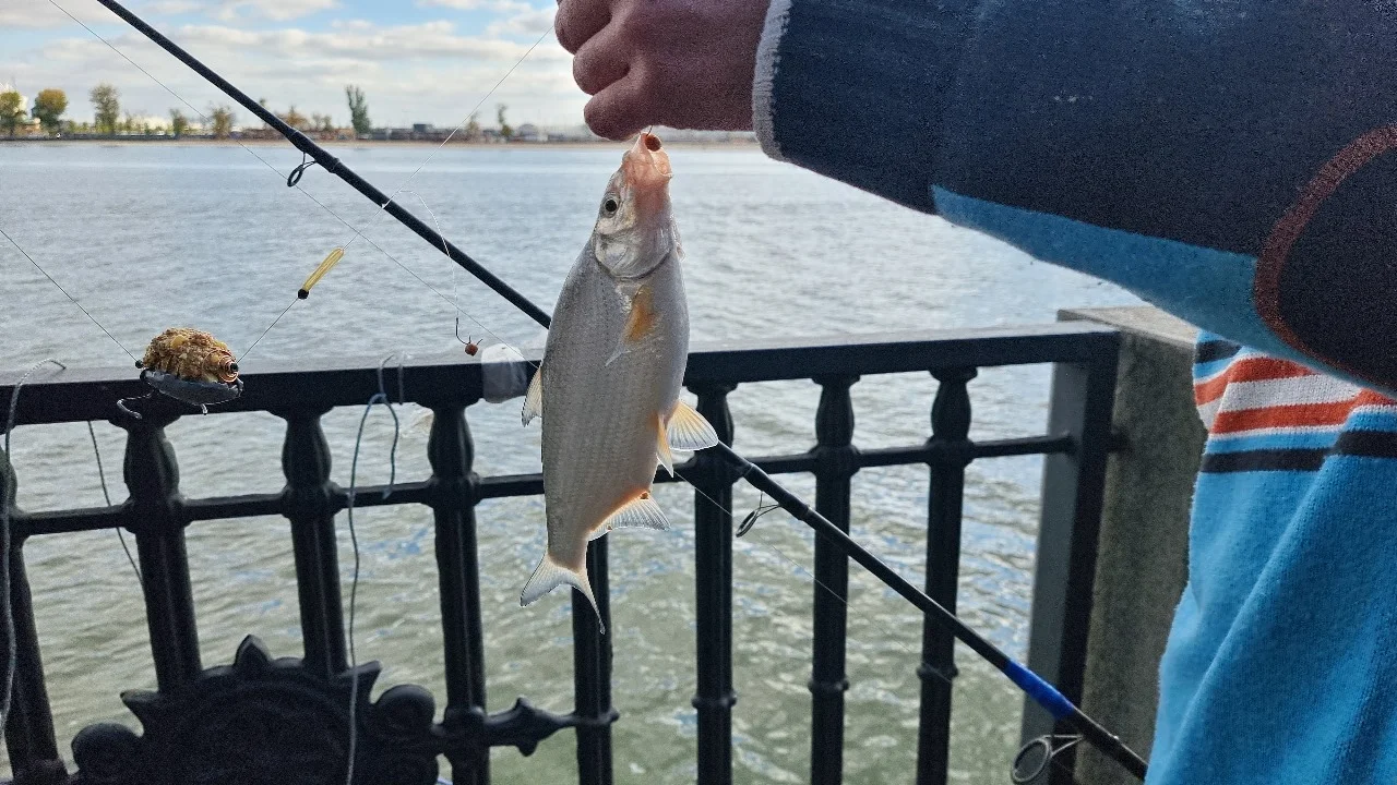 Рыбалка на веселовском водохранилище едва не стала смертельной для дончанина