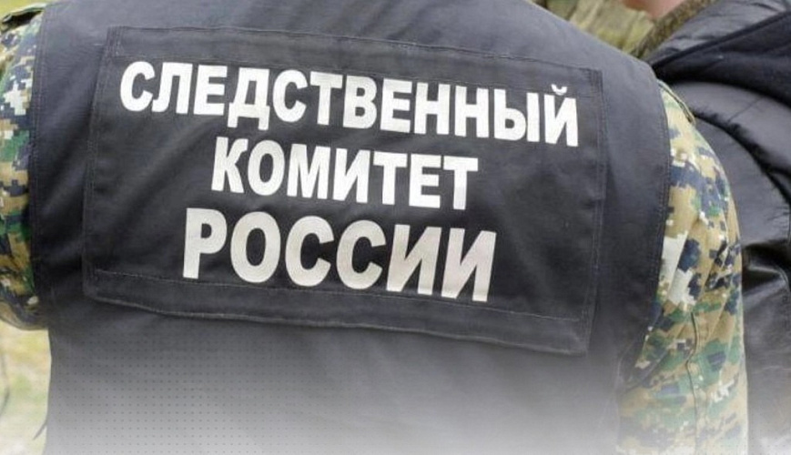 Фото: СК проверит информацию // из публикаций 1rnd Фото: СК проверит информацию // из публикаций 1rnd