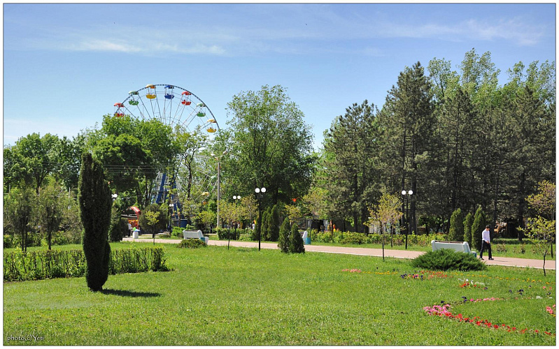 Фото: из публикаций 1Rnd Фото: из публикаций 1Rnd