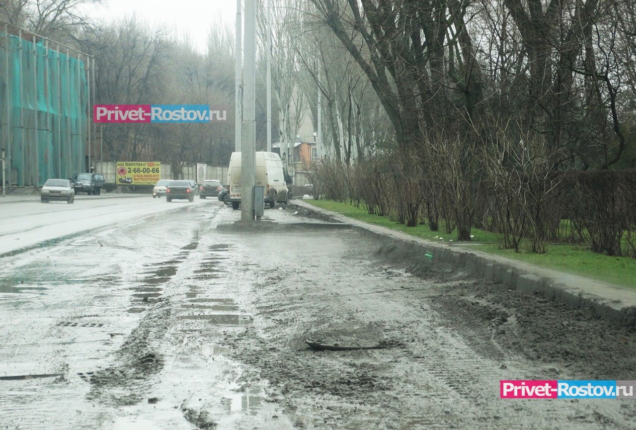Мы не засранцы»: депутат рассказал, почему в Ростове-на-Дону так грязно