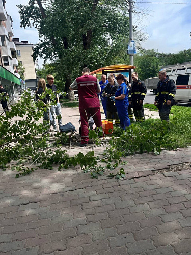 Фото: кадр из социальных сетей Фото: кадр из социальных сетей