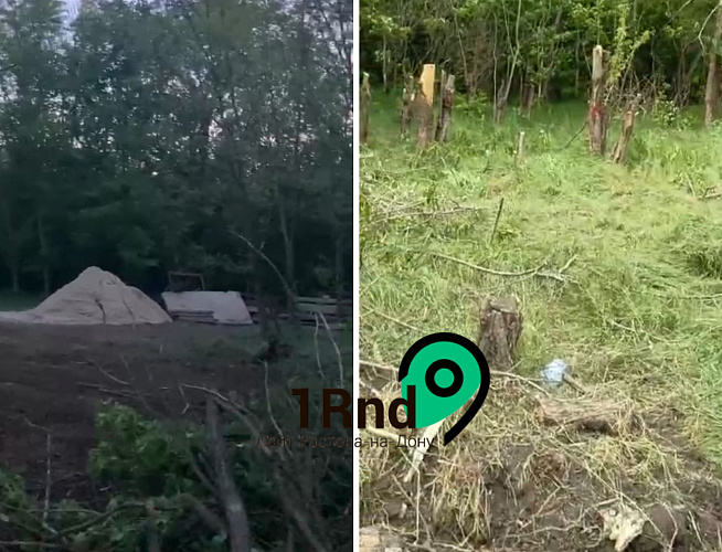 Фото: очевидцы вырубки зелёной рощи Фото: очевидцы вырубки зелёной рощи
