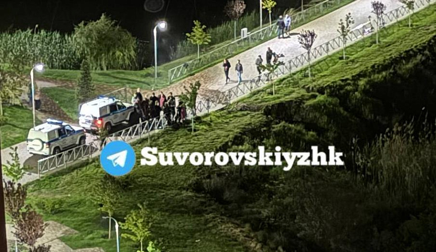 Фото: массовая драка на Сувороском, кадр ТГ suvorovskiyzhk Фото: массовая драка на Сувороском, кадр ТГ suvorovskiyzhk
