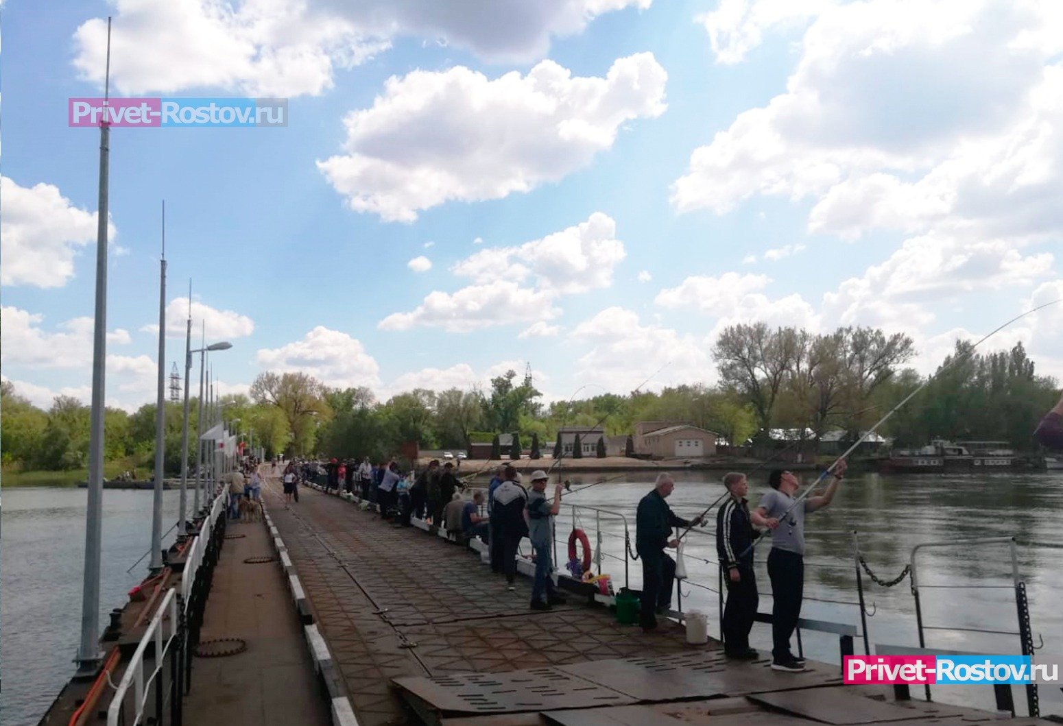 В Ростове с 17 апреля открыли движение через понтонный мост на Зеленый  остров