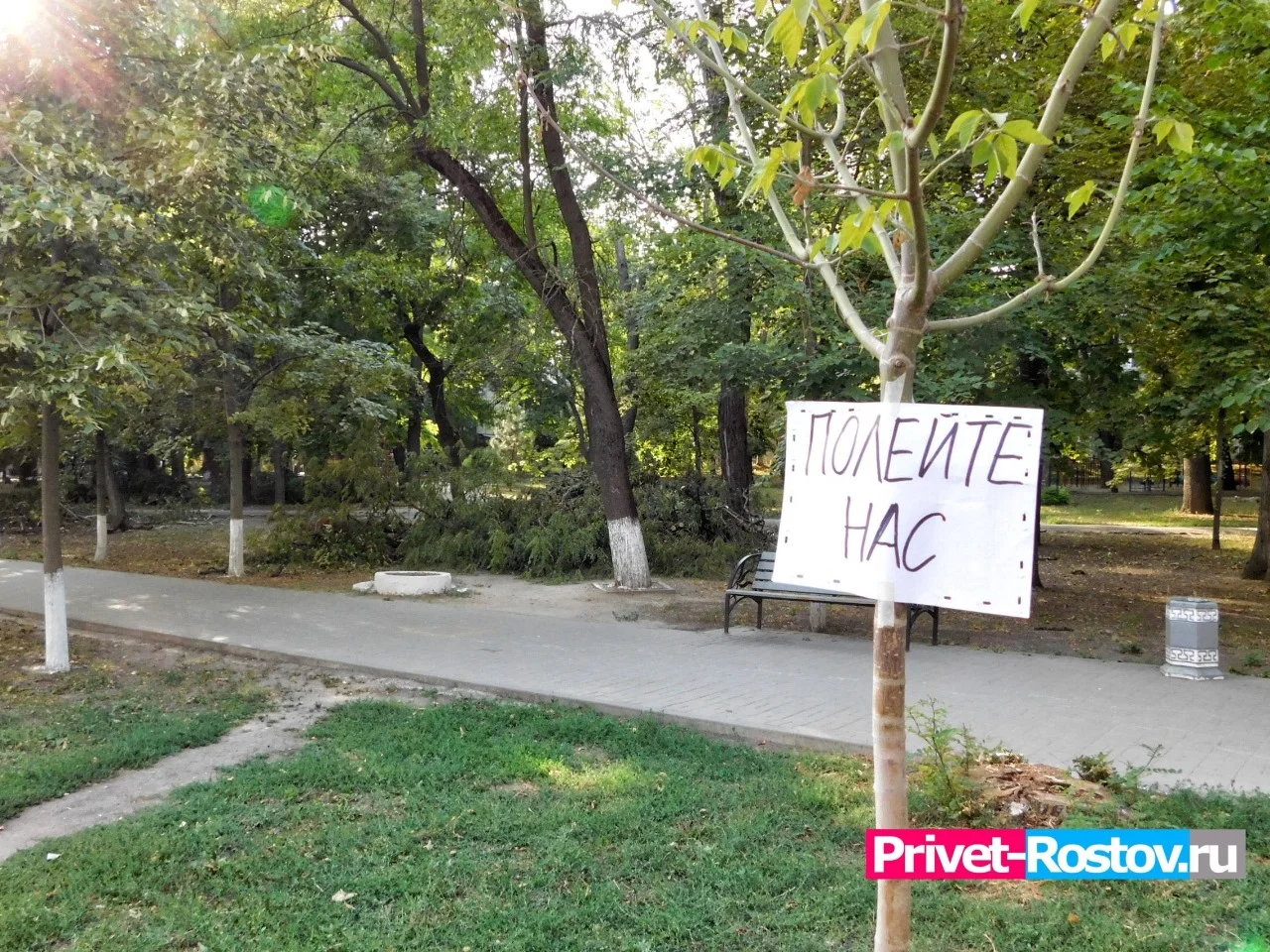 В трех районах Ростовской области началась засуха