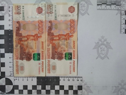 Фото: Следком РО Фото: Следком РО
