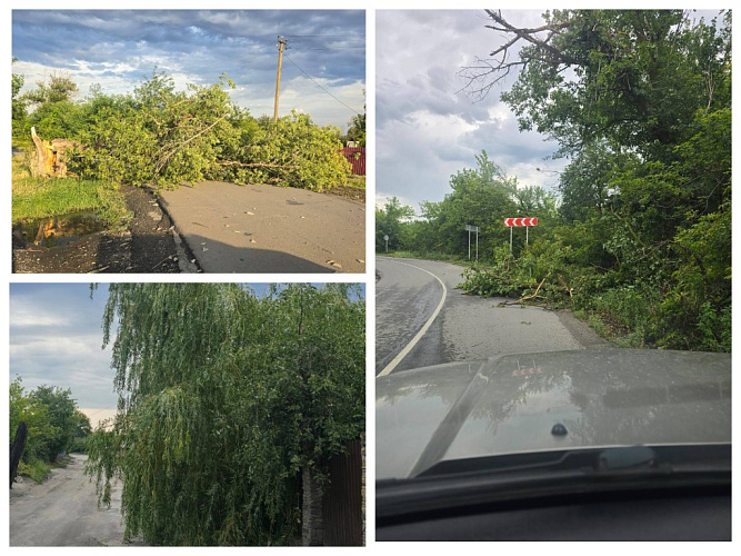 Фото: Виктор Гуснай/telegram Фото: Виктор Гуснай/telegram