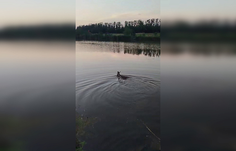 Фото: ТГ канала "Новости Ростова-на-Дону"Privet-Rostov.ru - новости Ростов-на-Дону Фото: ТГ канала "Новости Ростова-на-Дону"Privet-Rostov.ru - новости Ростов-на-Дону