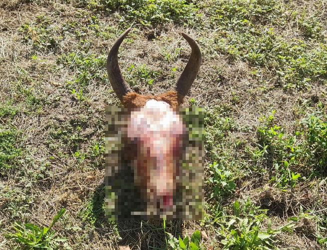 Фото: «Департамент строительства и городского хозяйства» Волгодонска Фото: «Департамент строительства и городского хозяйства» Волгодонска
