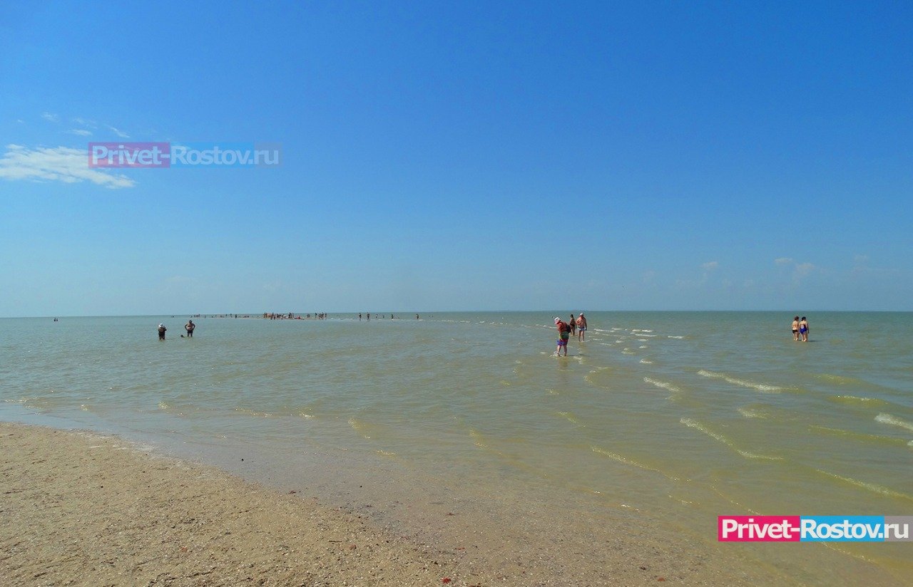 Азовское море заполнилось медузами, но у проблемы есть полезная сторона