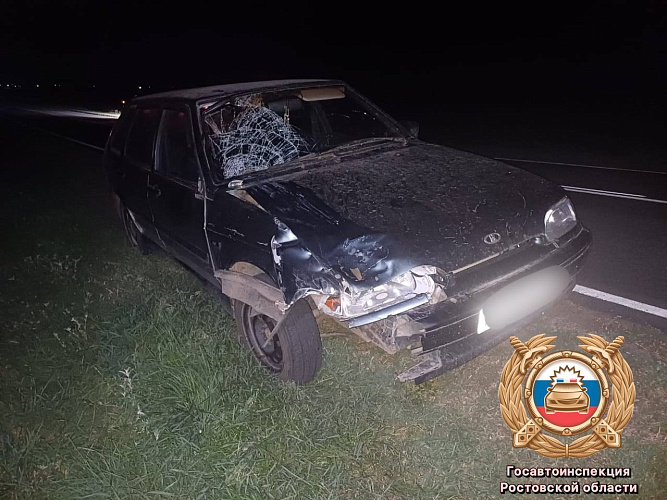 Фото: Госавтоинспекция Ростовской области Фото: Госавтоинспекция Ростовской области
