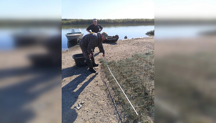 Фото: АЗОВО-ЧЕРНОМОРСКОЕ территориальное управление Федерального агентства по рыболовству Фото: АЗОВО-ЧЕРНОМОРСКОЕ территориальное управление Федерального агентства по рыболовству