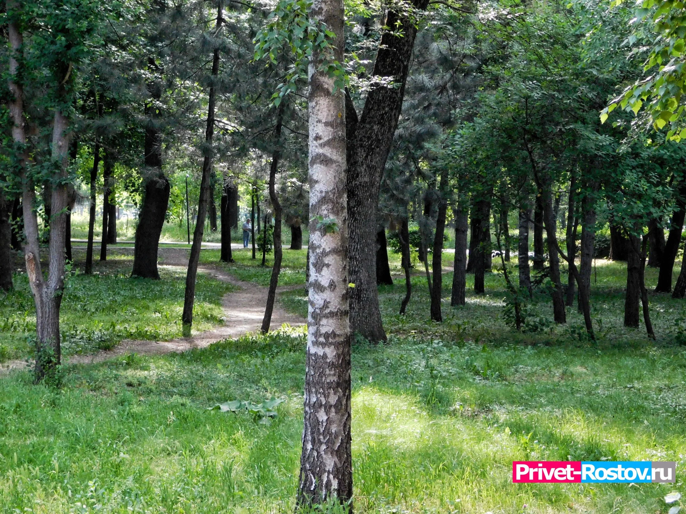 Privet-Rostov.ru - Главные новости Ростова и Ростовской области