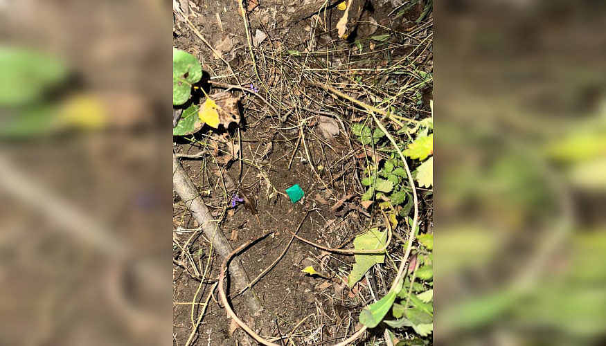Фото: Донская полиция Фото: Донская полиция