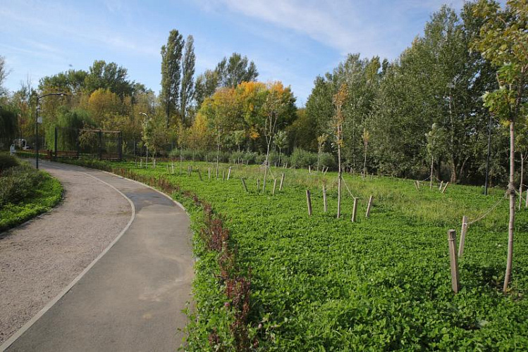 Фото: Пресс-служба губернатора РО