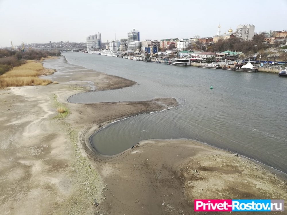 В Ростове зафиксировано рекордное пожертвование